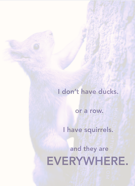 Screenshot 2025-08-19 at 13.59.01.png